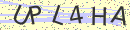 captchaImage