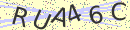 captchaImage