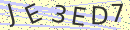 captchaImage