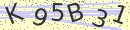 captchaImage