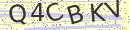 captchaImage